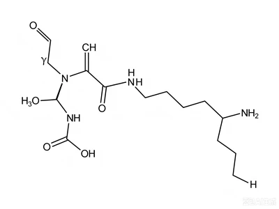 CAS: 33932-35-3: Glutationilspermidin